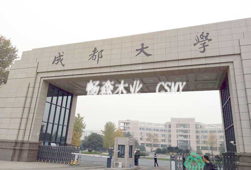 成都大学体育馆案例