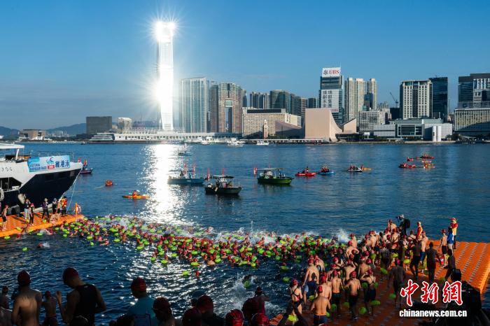 小雪时节香港维港泳2025：